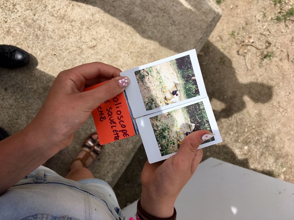 Education à l'image 2018