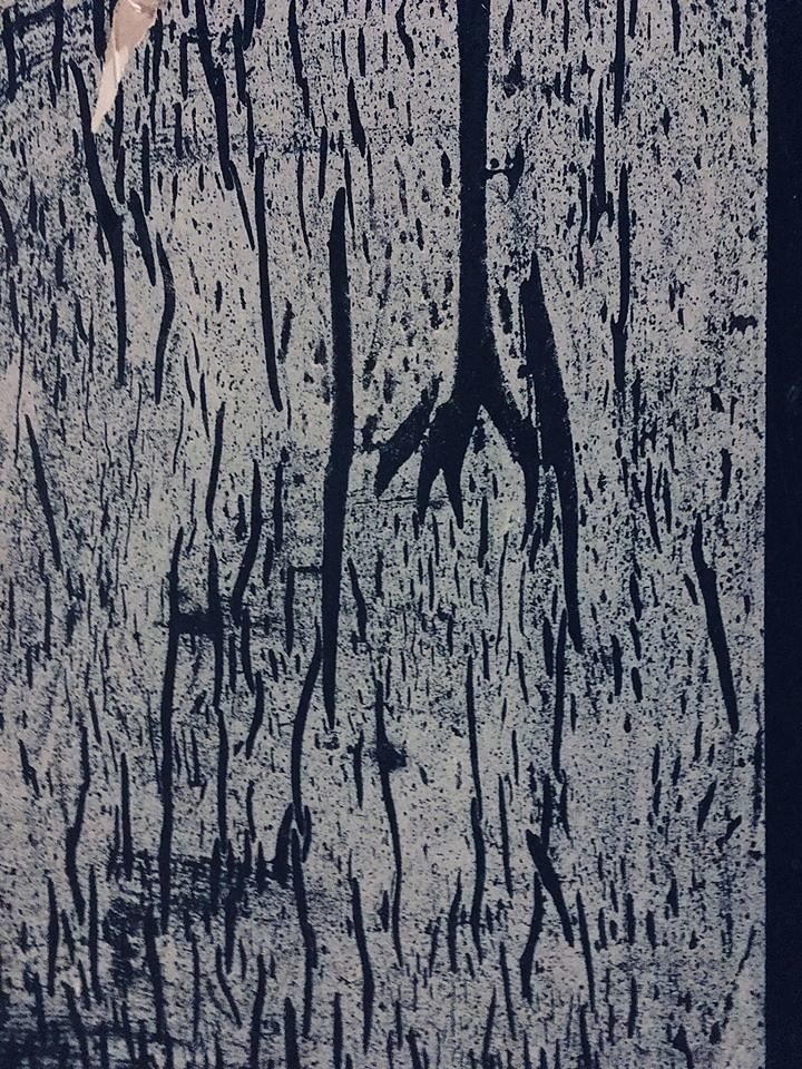 TRACES.jpg
