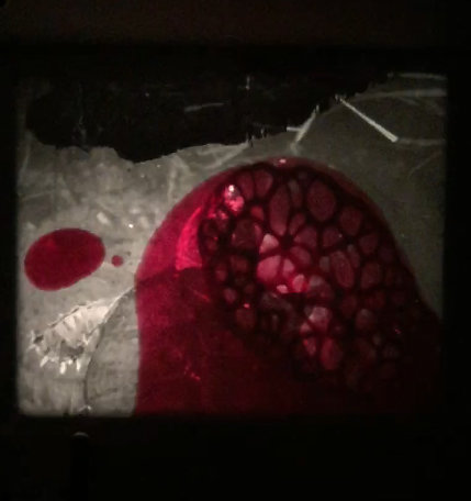 ATELIER peinture sur pellicule / Found Footage