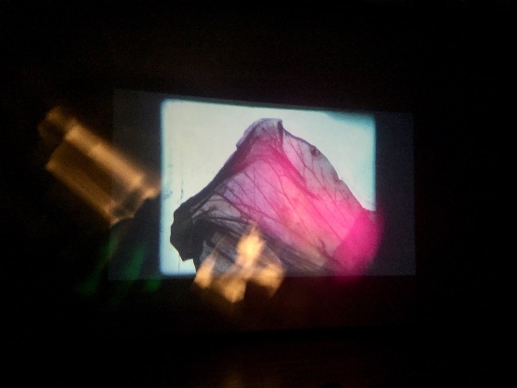 Film-performance