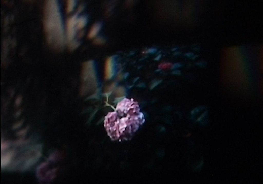 FLEUR/JARDIN