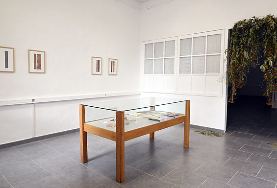 .Vue exposition FLEUR/JARDIN